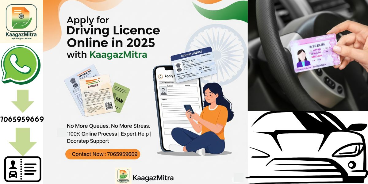 Driving Licence